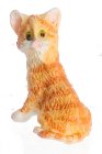 (image for) Kitten Sitting Orange DISCONTINUED