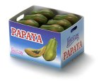 (image for) Case Full of Papaya