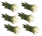 (image for) Green Onions Set of 6