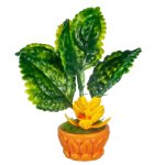 (image for) Potted Tropical Flowering Plant - Orange