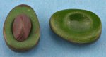 (image for) Handcrafted Avocados 2pc