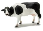 (image for) Black & White Cow