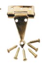 (image for) T-Hinges 2pc w/ 24 Nails