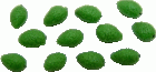 (image for) Limes 12pc