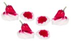 (image for) Strawberry Meringue 6pc Assorted