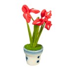 (image for) Potted Red Flowers