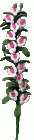 (image for) White & Pink Flower Vine