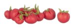 (image for) Tomatoes 10pc