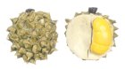 (image for) Durian Fruits 2pc Set