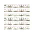 (image for) School Ruler White 6pc