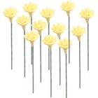 (image for) 1dz Yellow Daisy Stems