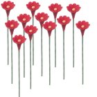 (image for) 1dz Red Daisy Stems