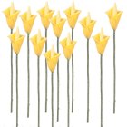 (image for) 1dz Yellow Calla Lily Stems