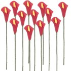 (image for) 1dz Red Calla Lily Stems