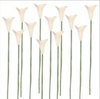 (image for) 1dz White Calla Lily Stems