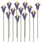 (image for) 1dz Purple Calla Lily Stems