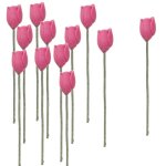 (image for) 1dz Rose Pink Tulip Stems