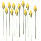 (image for) 1dz Yellow Rosebud Stems