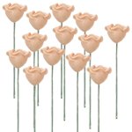 (image for) 1dz Peach Rose Stems