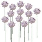 (image for) 1dz Lavender Rose Stems