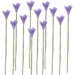 (image for) 1dz Purple Wildflower Stems