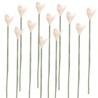 (image for) 1dz Light Pink Flower Stems