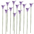 (image for) 1dz Lavender Flower Stems