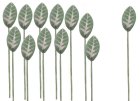 (image for) 1dz Varigated Plant Leaf Stems