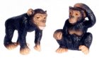 (image for) Chimpanzees 2pc