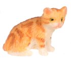 (image for) Mini Kitten Sitting Orange