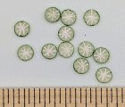 (image for) Lime Slices 12pc