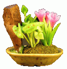 (image for) Pink Tabletop Planter Arrangement