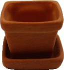 (image for) Square Terra Cotta Pot w/ Drip Saucer