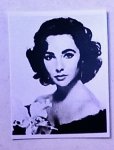 (image for) Elizabeth Taylor Dollhouse Photo 8 x10