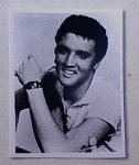 (image for) Elvis Presley Dollhouse Photo 8 x10