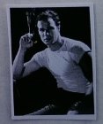 (image for) Marlon Brando Dollhouse Photo 8 x10