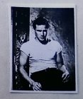 (image for) Marlon Brando Dollhouse Photo 8 x10 2