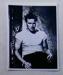 (image for) Marlon Brando Dollhouse Photo 8 x10 2