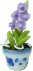 (image for) Purple Orchid in Pot