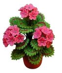 (image for) Pink Geraniums in a Clay Pot