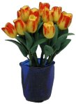 (image for) 12 Yellow Tulips in Blue Crimped Vase