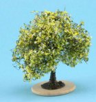 (image for) Miniature Bush w/ Yellow-White Flowers