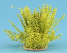 (image for) Forsythia Bush Small