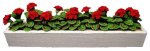 (image for) Red Geraniums in White Window Box