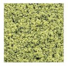 (image for) Fine Foliage Turf Pale Green