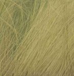 (image for) Field Grass Light Green