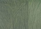 (image for) Field Grass Medium Green