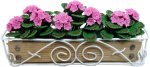 (image for) Pink Geraniums In Scroll Iron Long Planter