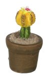 (image for) Potted Cactus w/ Yellow & Red Flower