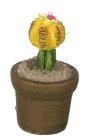 (image for) Potted Cactus w/ Yellow & Red Flower